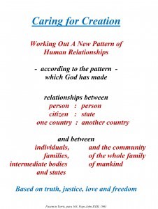 Caring-for-Creation-226x300