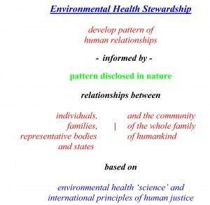 Environmental-Health-Stewardship-300x293