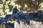 fall-0ff-in-pond